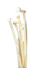 Image showing White Raw Mushrooms.