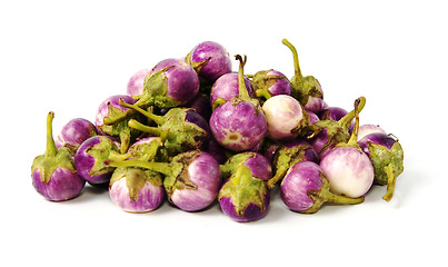 Image showing Group of small Egg-plants. Aubergine.