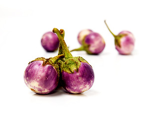 Image showing Group of small Egg-plants. Aubergine.