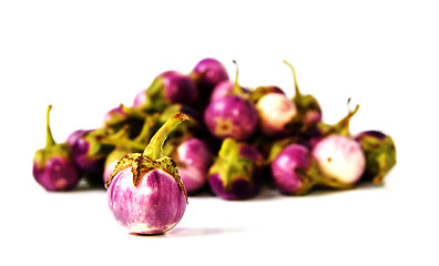 Image showing Group of small Egg-plants. Aubergine.