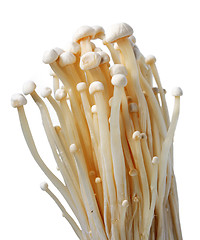 Image showing White Raw Mushrooms.