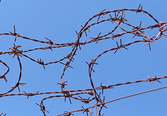 Image showing Twisted strands of barbed wire on sky background