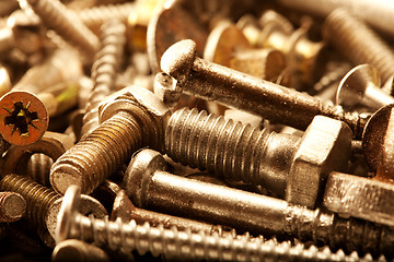 Image showing Warm color metal screws close up
