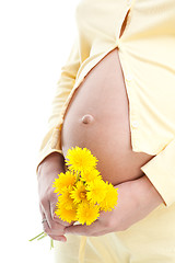 Image showing Pregnant woman holding dandelion