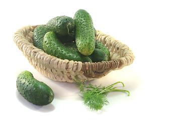 Image showing Pickling cucumbers