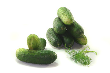 Image showing Pickling cucumbers