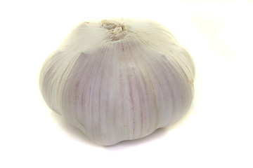 Image showing Garlic