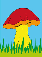 Image showing mushrooms