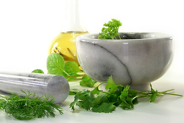 Image showing Kitchen herbs