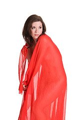 Image showing Red drape