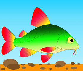 Image showing colorful fish