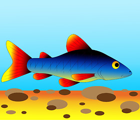 Image showing minnow