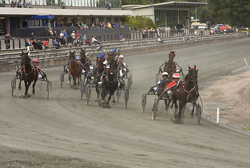 Image showing Trotting race