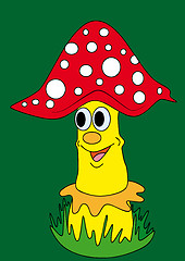 Image showing amanita