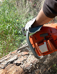 Image showing Chainsaw