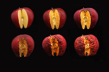 Image showing An Apple's Demise