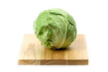 Image showing green cabbage