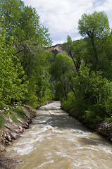 Image showing Uncompahgre River