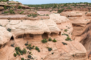 Image showing Canyon de Chelly