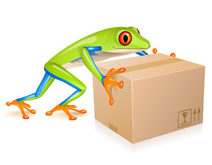 Image showing Delivery tree frog