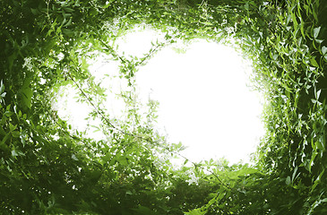 Image showing green leaf frame