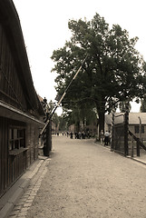 Image showing Auschwitz Birkenau camp