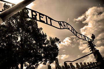 Image showing Auschwitz Birkenau camp