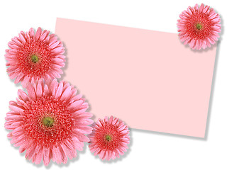 Image showing Group of pink flowers with message-card