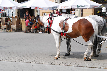 Image showing Horse-drawn buggies trot around Krakow 