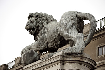 Image showing Lion guardian