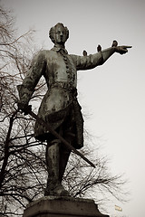 Image showing Statue of Charles XII with birds