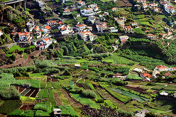 Image showing Village on the south coast of Madeira island - Portugal