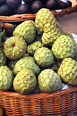 Image showing Sugar-apple, Annona squamosa - fruit of Madeira