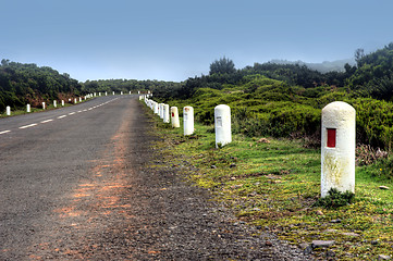 Image showing Road in Plateau of Parque natural de Madeira, Madeira island,  Portugal