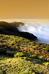 Image showing Valley, Lomba de Risco,  Plateau of Parque natural de Madeira, Madeira island, Portugal