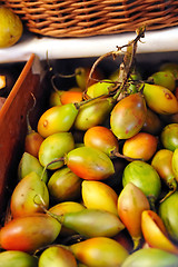 Image showing Passiflora, Maracuja, passion fruit - fruit of Madeira