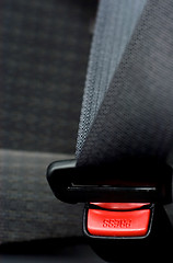 Image showing Safety belt