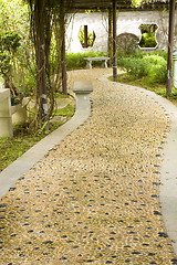 Image showing Stone walkway winding in garden 