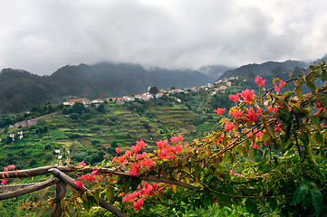 Image showing Village on the north coast of Madeira island – Portugal