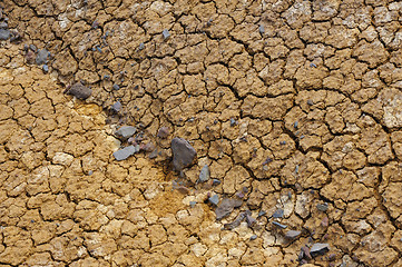 Image showing Cracked dry ground texture