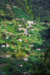 Image showing Village on the north coast of Madeira island – Portugal