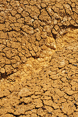 Image showing Cracked dry ground texture