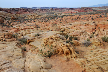 Image showing Valley of Fire