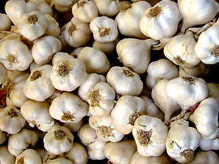 Image showing Garlic