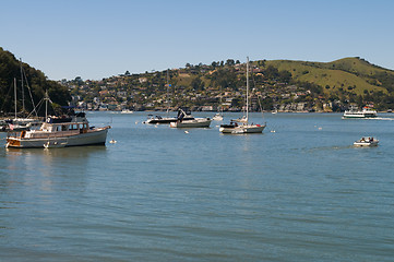 Image showing Raccoon Strait