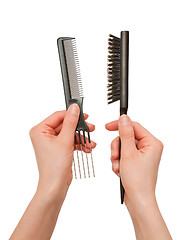 Image showing Choice of hairbrushes