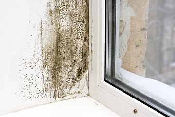 Image showing Dampness