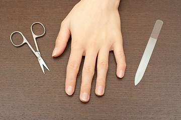 Image showing Manicure set