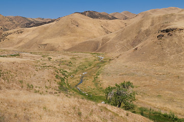 Image showing Brown hills