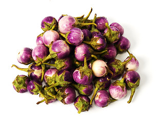 Image showing Group of small Egg-plants. Aubergine.